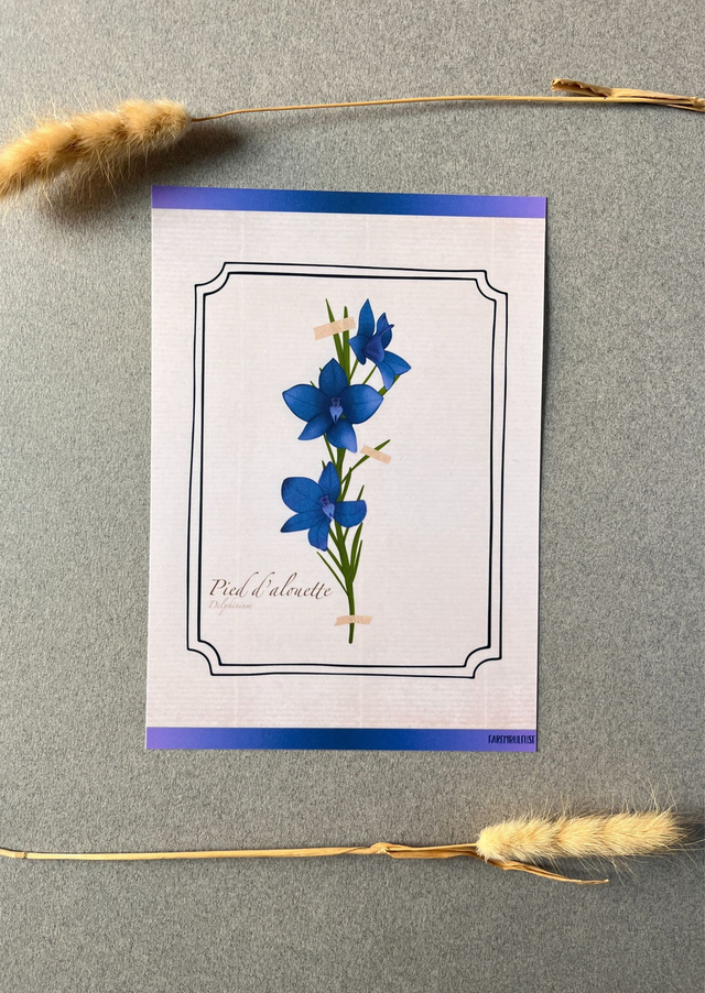 Affiche 07. Le Pied d&#039;alouette (juillet)