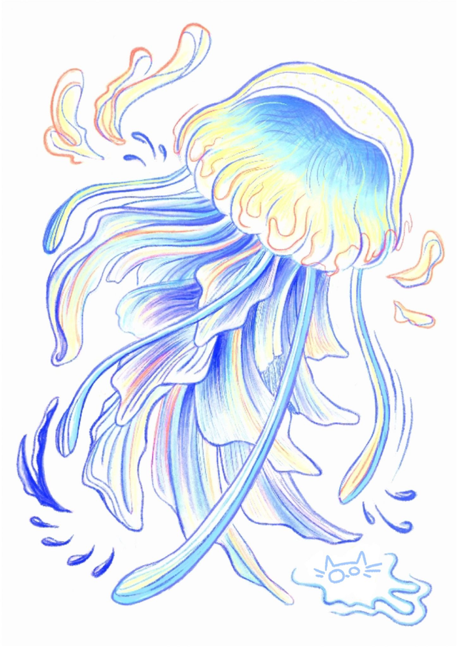 Série animaux marins - Méduse Bleu