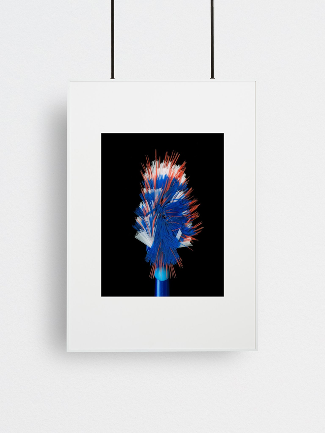 Polymer Palm 3, Fine Art Print