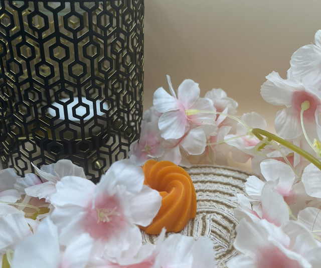 Fondant parfumé Adoucissant - 18 grammes