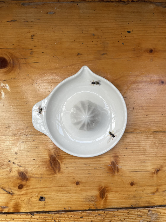 Zitronenpresse Wespen