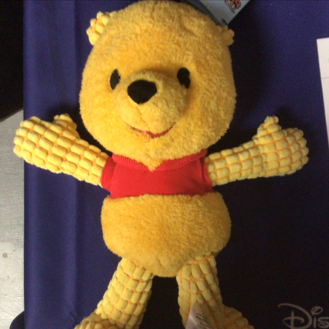 Winnie the pooh