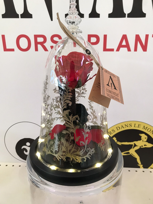 CUPULA CRISTAL LED CLASIC ROSA ROJA D-17 Atura 29cm