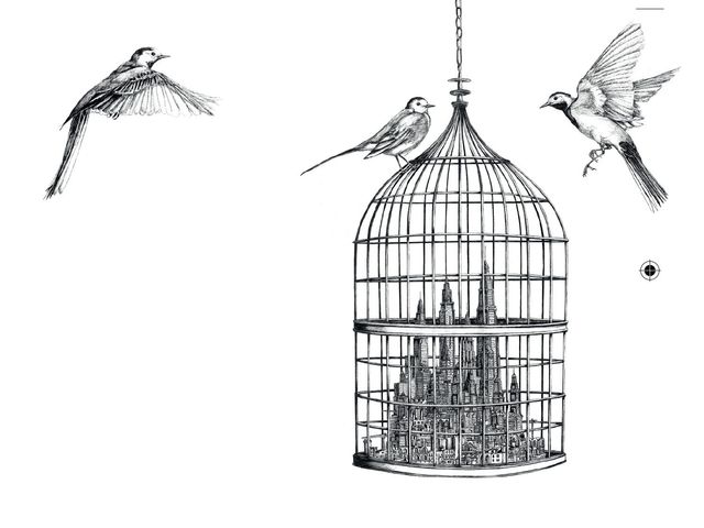 Bergeronnettes et cage - Edition Art