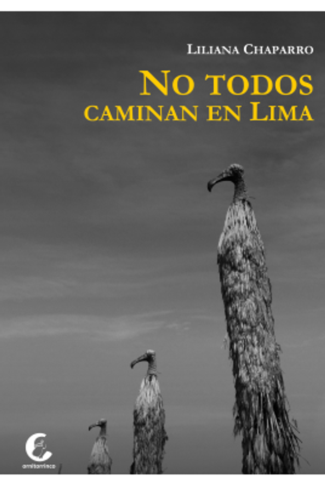No todos caminan en Lima - Liliana Chaparro