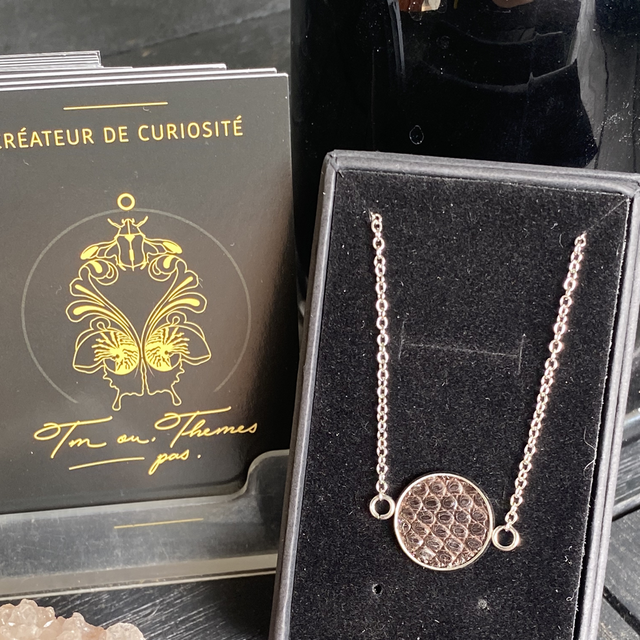 Bracelet et cuir de lézard teinté