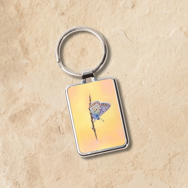Porte-clés - Papillon