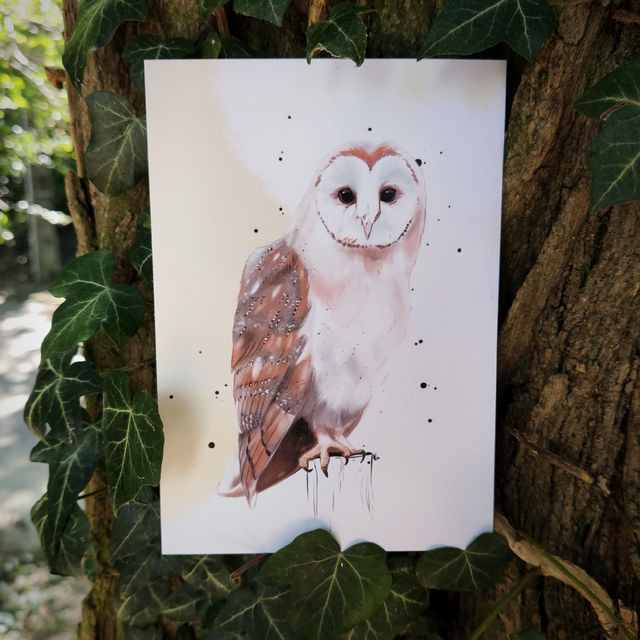 Illustration Chouette - Formats A6 ou A5