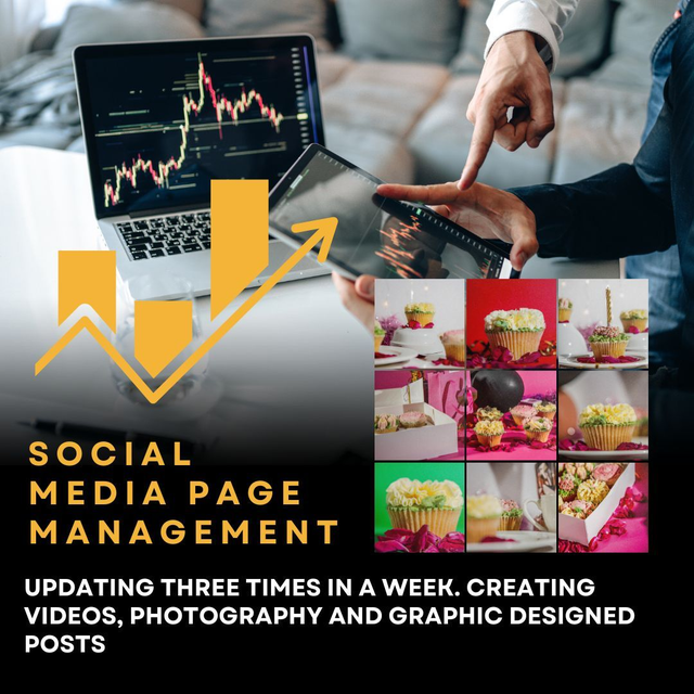 Social Media Page Management