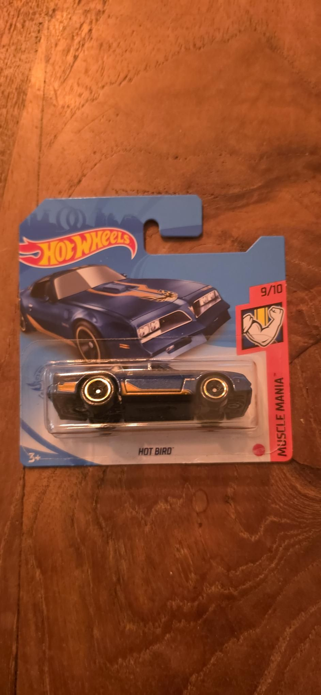 Pontiac hot bird