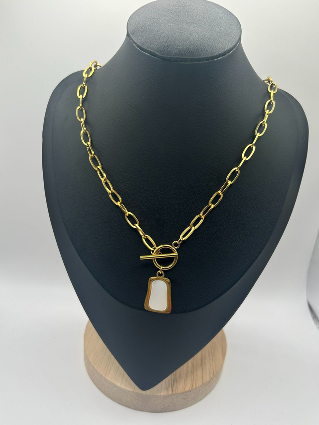 Stainless Steel Necklace (SSN39J)