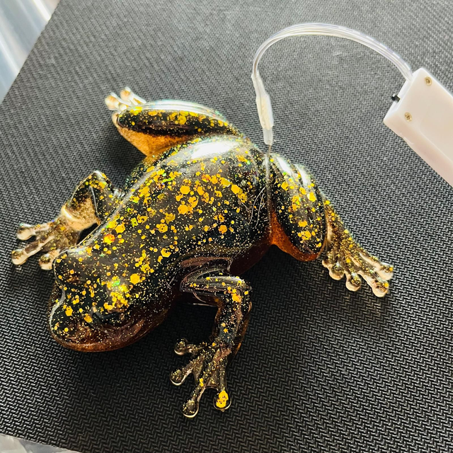 GRENOUILLE EN RÉSINE MARE A CAFÉ &amp; PAILLETTE DORÉ