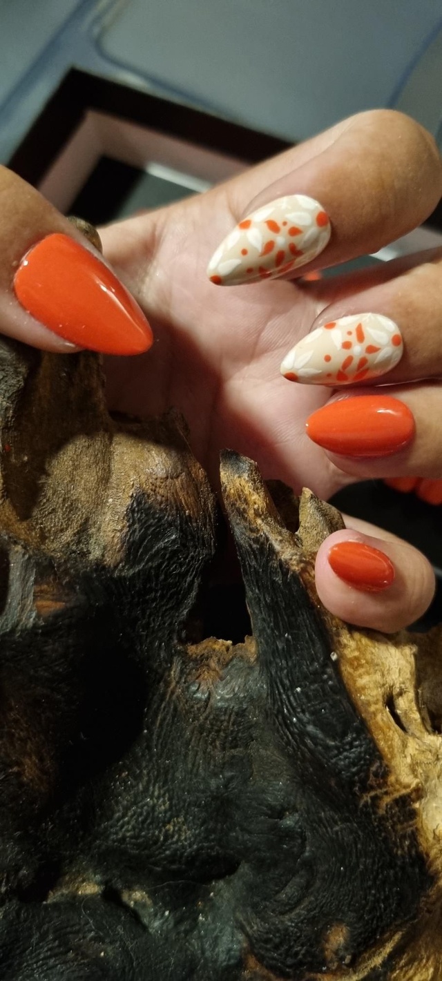 Orange foliage Amande XS