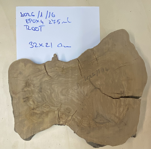 Bespoke Olive Root Statement Board – No. 2026/1/16