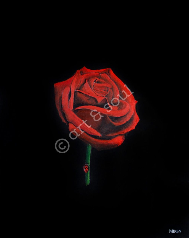 A4 Print only - special offer