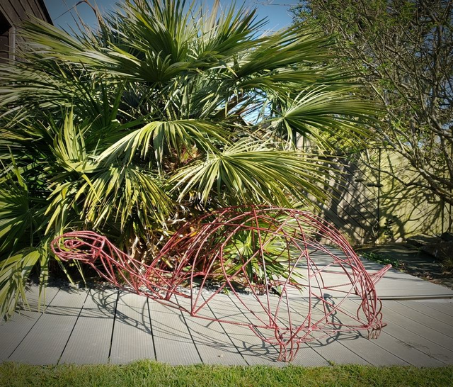 "La Voyageuse Immobile" *