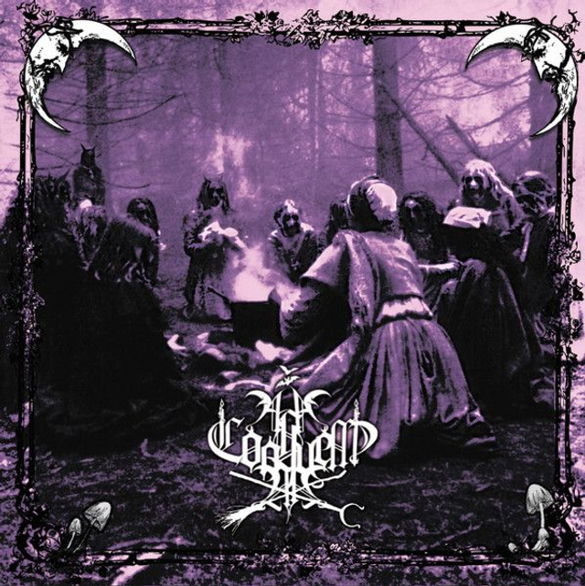 А ЗА СОЛНЦЕМ ЛУНА... ‎– Поганки