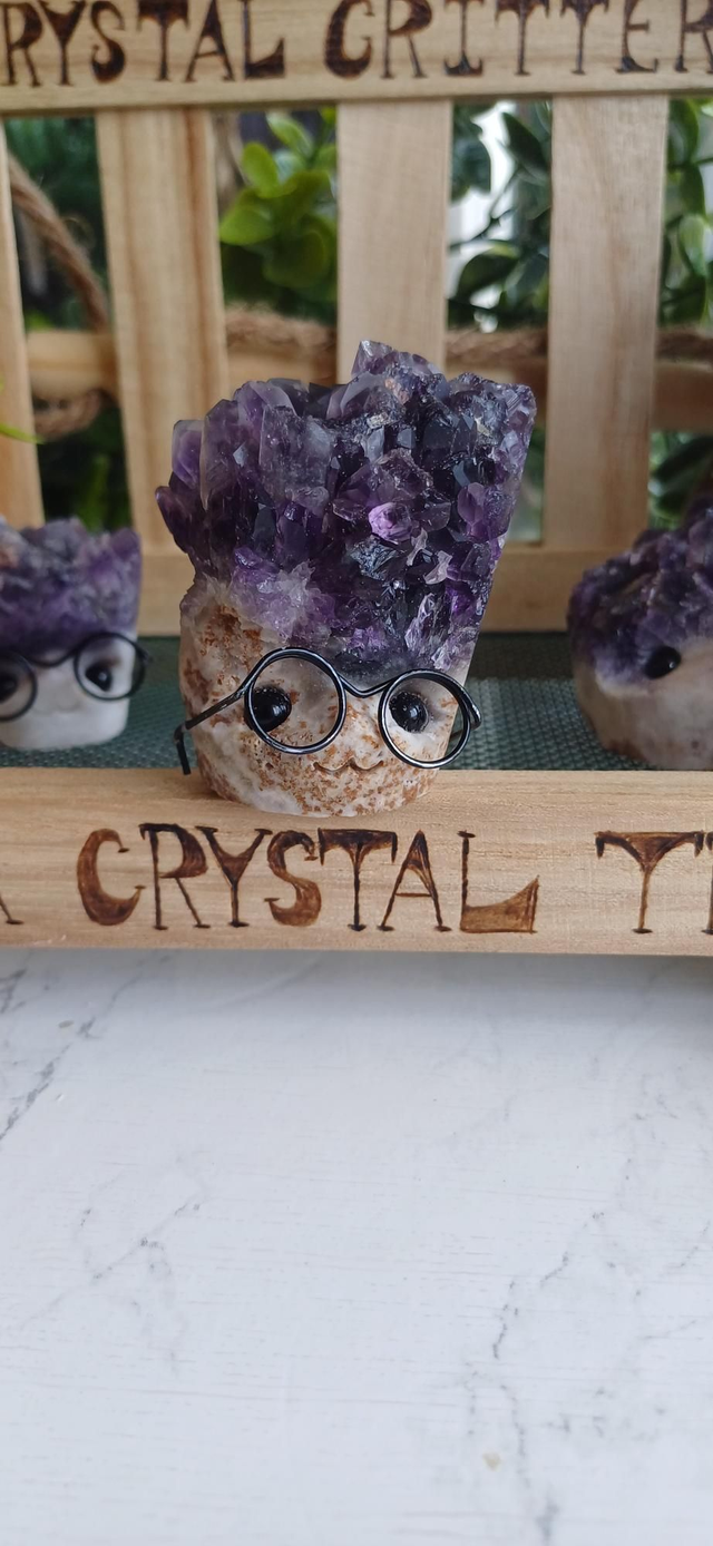 Quartzbert - Crystal Critter Scholar