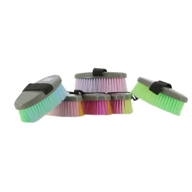 BROSSES HIPPOTONIC MULTICOLOR