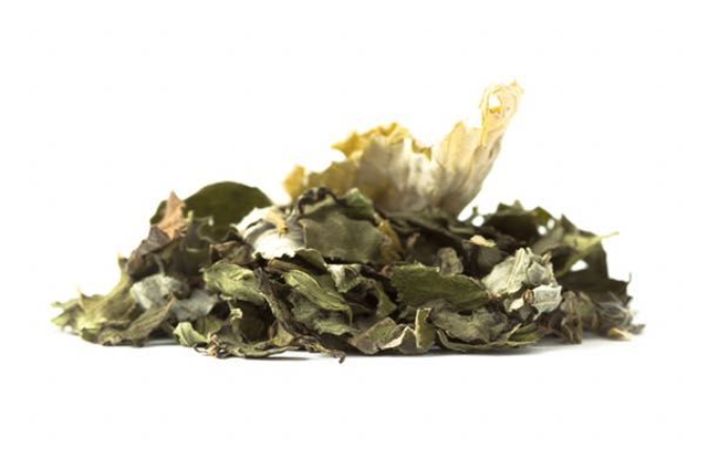 Tisane Infusion PAR TOUS LES TEMPS / Les Jardins De Gaïa