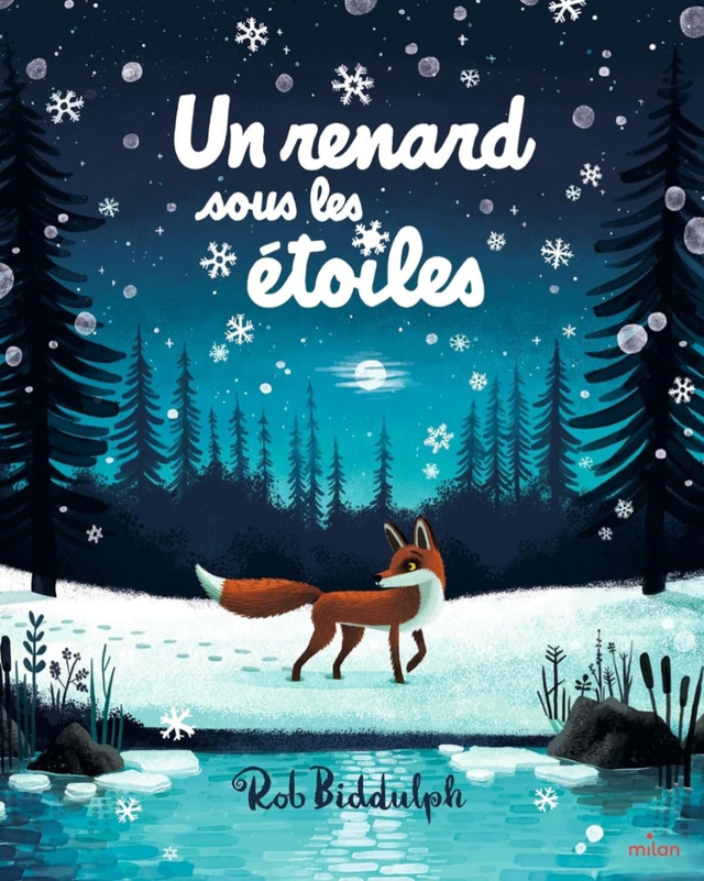 Un renard sous les étoiles