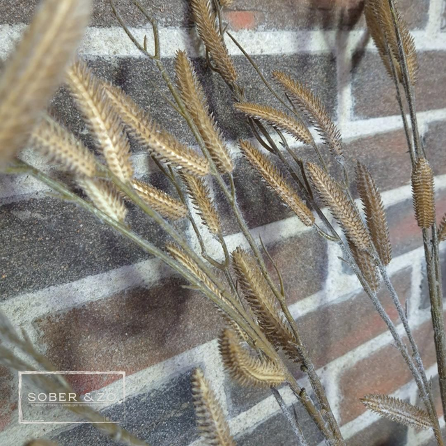 Kunsttak 2, siergras