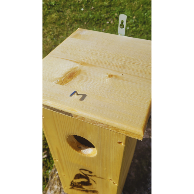 Nichoirs à pic épeiche 🐦