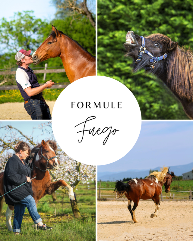 Formule Fuego