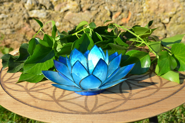 Bougeoir Lotus bleu