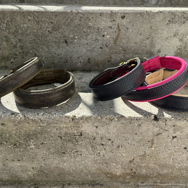 Hundehalsband aus geprägtem Rindsleder