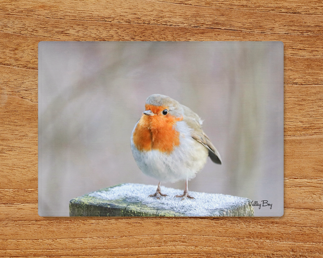 "Frosty Toes" Glass Worktop Saver  