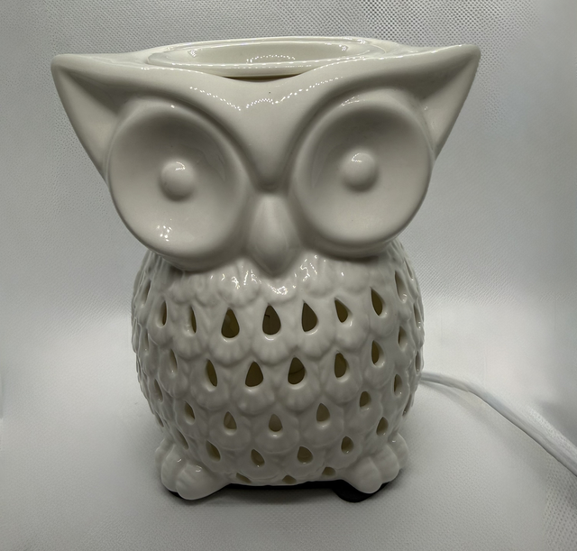 Owl Electric Burner 