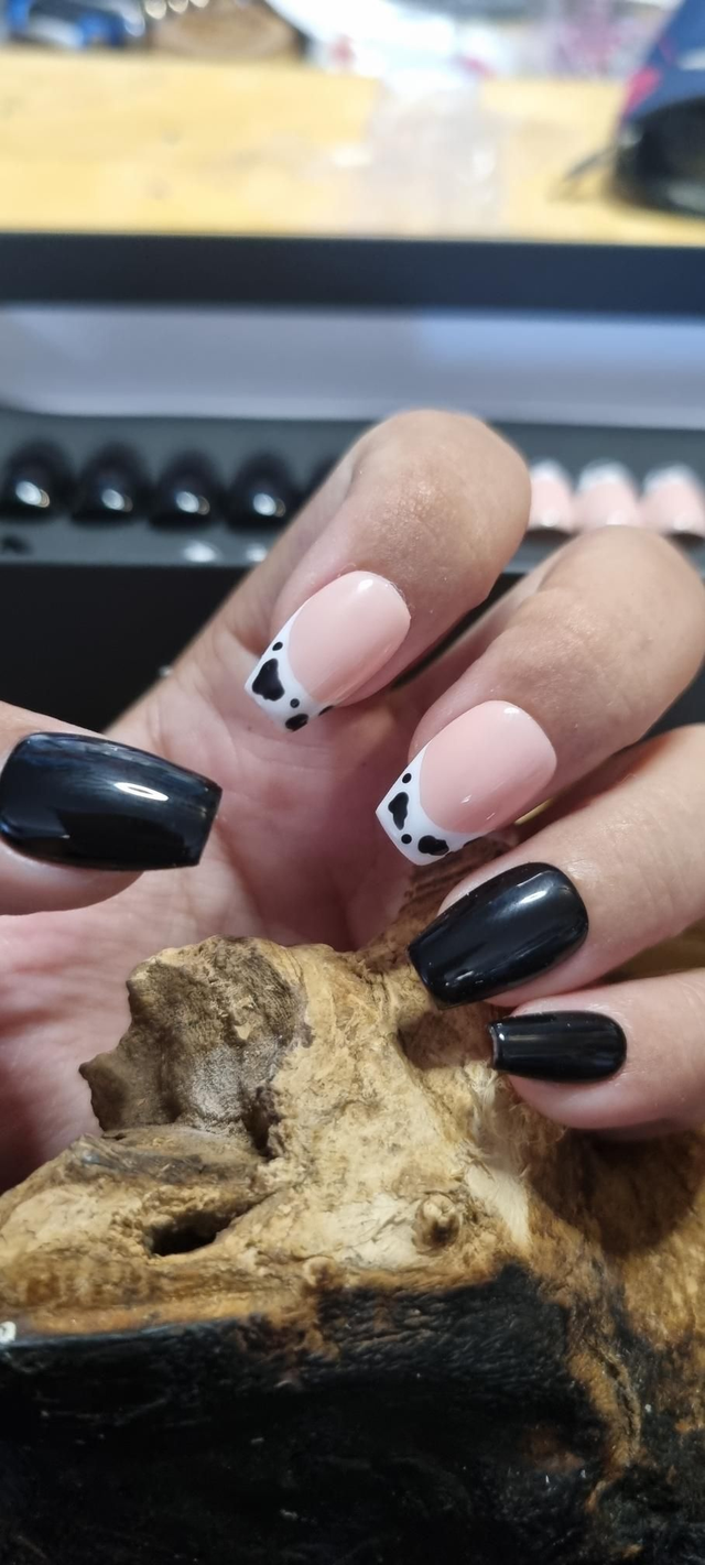 French dalmatien black little coffin xs