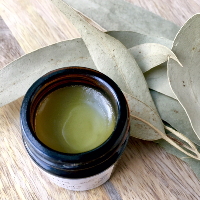 Baume d&#039;Eucalyptus globuleux