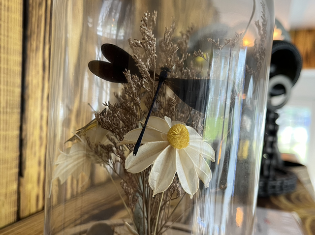 Globe en verre papillon libellule