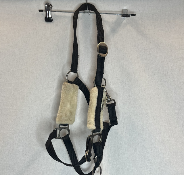 Licol foal noir mouton écru Showmaster