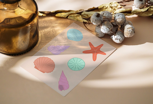 Dose de couleur - Coquillages Carte