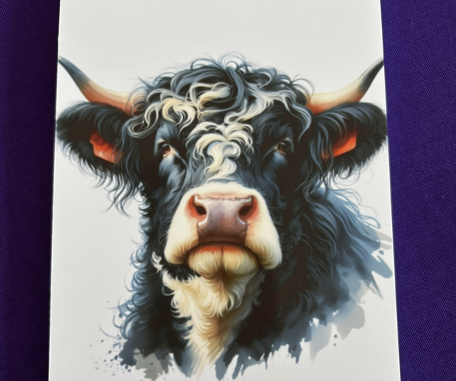 Plain Note Pad Cow with horns