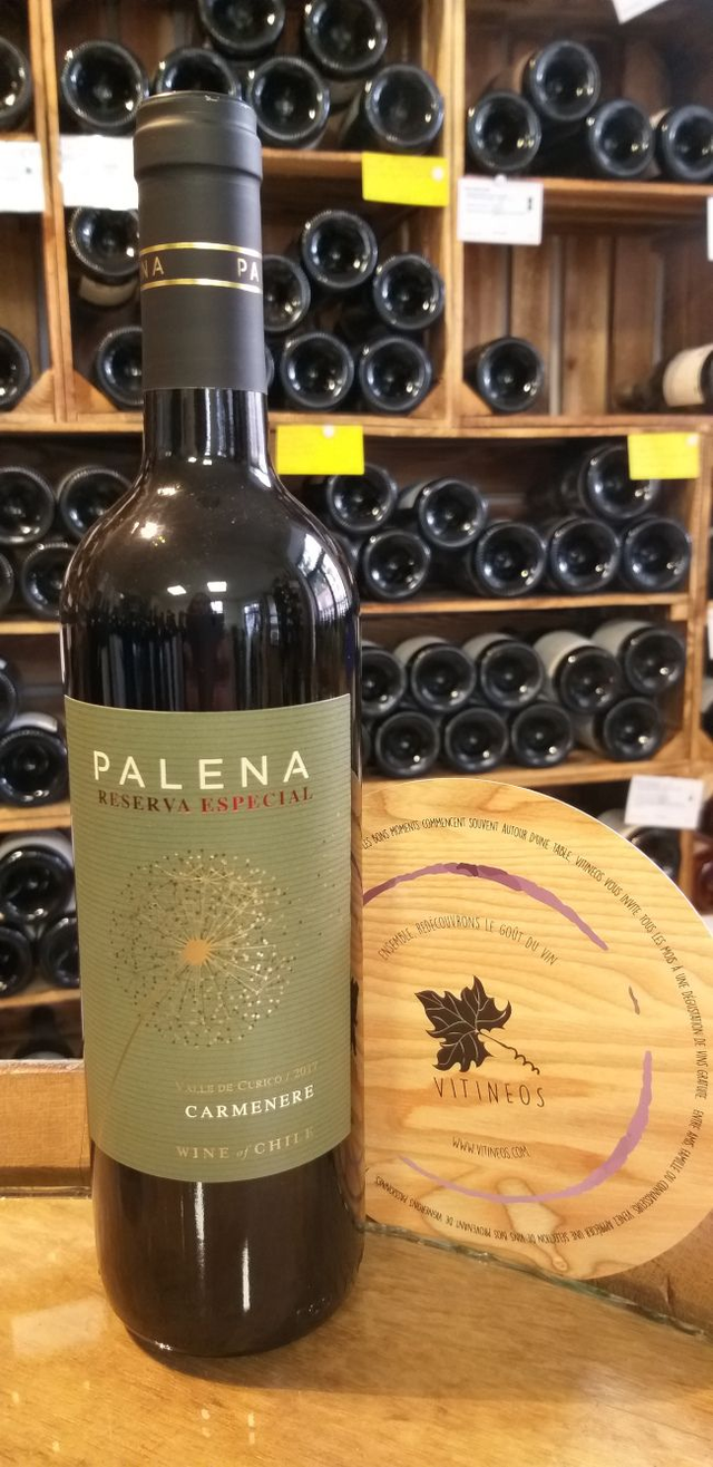 Carmenere Reserva 2017 - Rouge Sec Tranquille - Palena