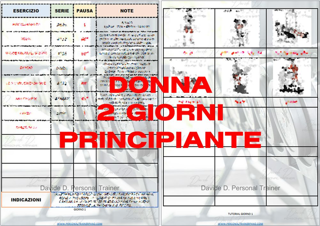 ALLENAMENTO DONNA - PALESTRA - DIMAGRIMENTO - 2GG. - BASIC