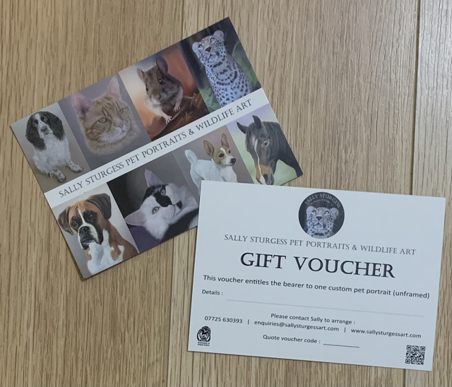 Pet Portrait Gift Voucher
