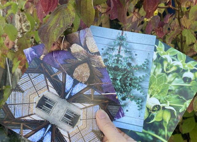 Lot de 4 cartes postales 