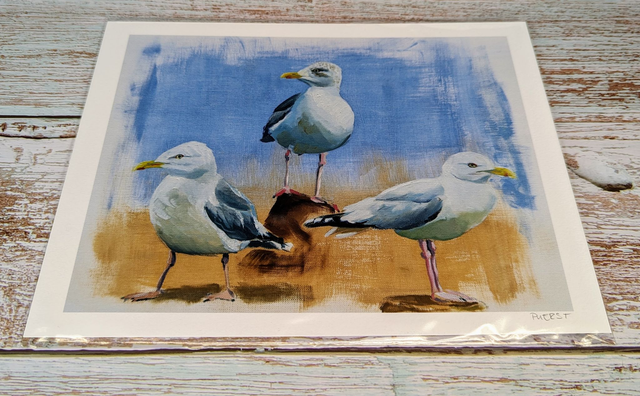 Kunstdruck "Ostsee-Möwen"