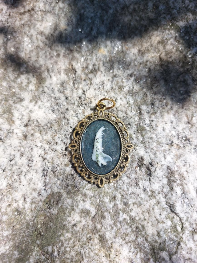 Pendentifs mâchoire renard grise