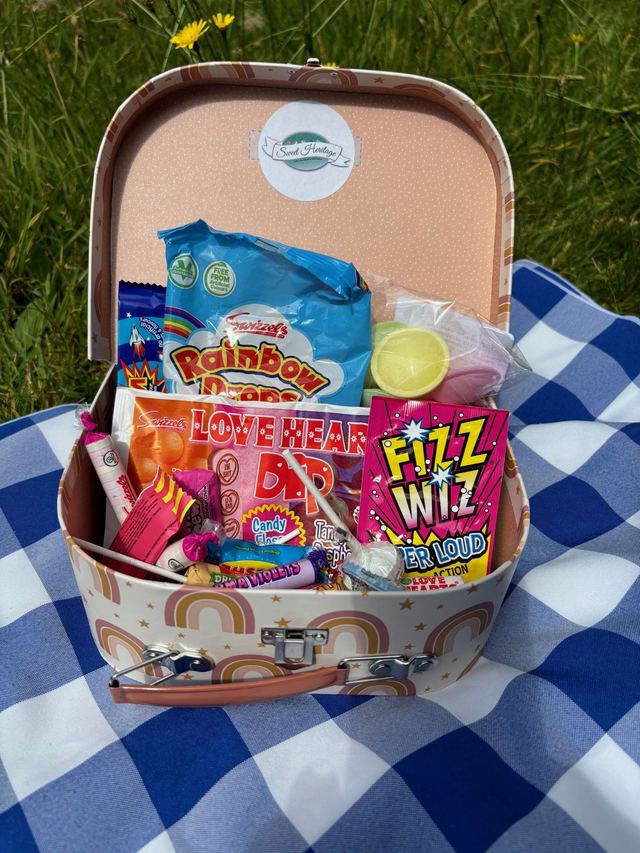 Rainbow  Suitcase Small