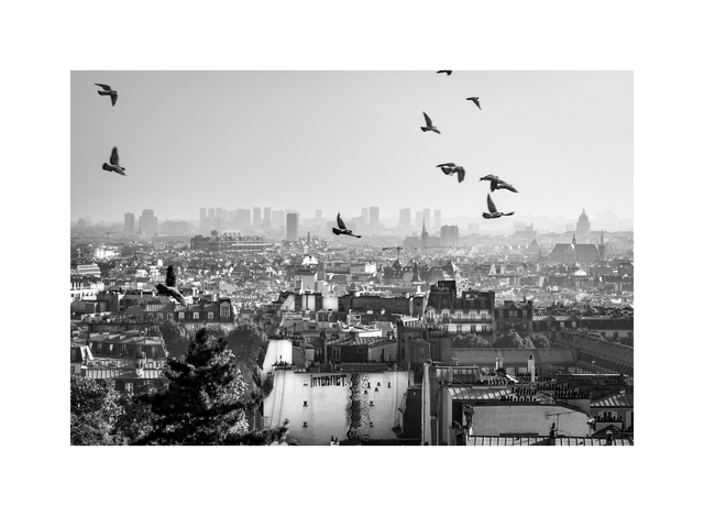 Un tag et des Oiseaux