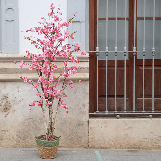 ARBOL CL469 CEREZO ROSA. con macetero. 180cm