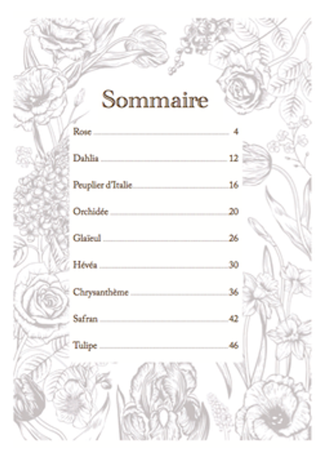 LES PLANTES A LA FOLIE