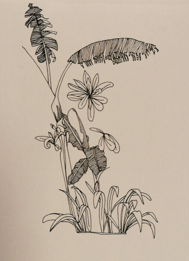 Bord Piscine Birmanie Végétation