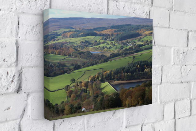 "Bradfield Landscape" Canvas 
